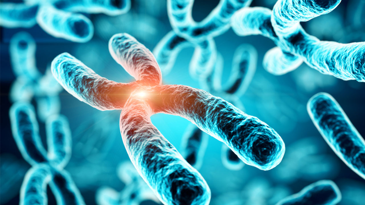 Why You Need to Know About Epitalon
