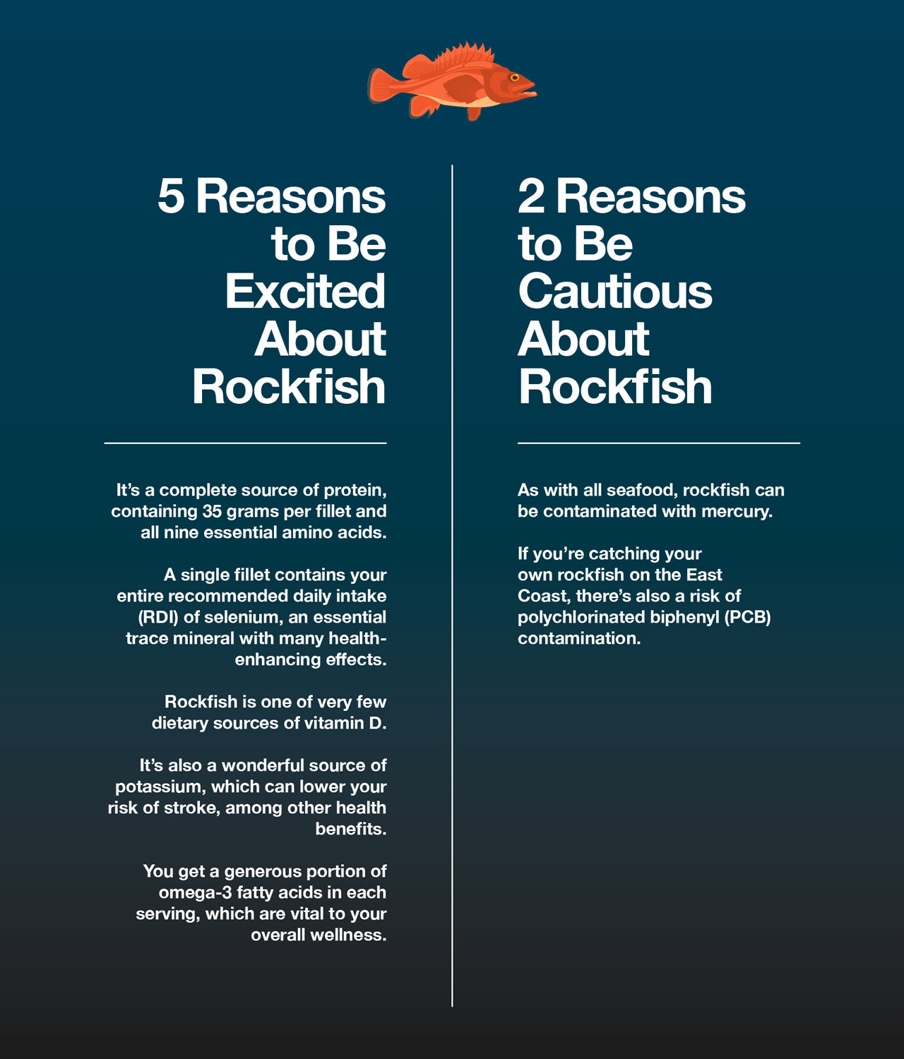 Here are 5 reasons to be excited about rockfish and 2 reasons to be cautious about it.