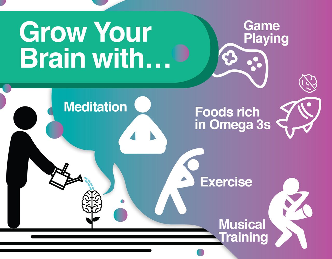 How to increase the size of your brain