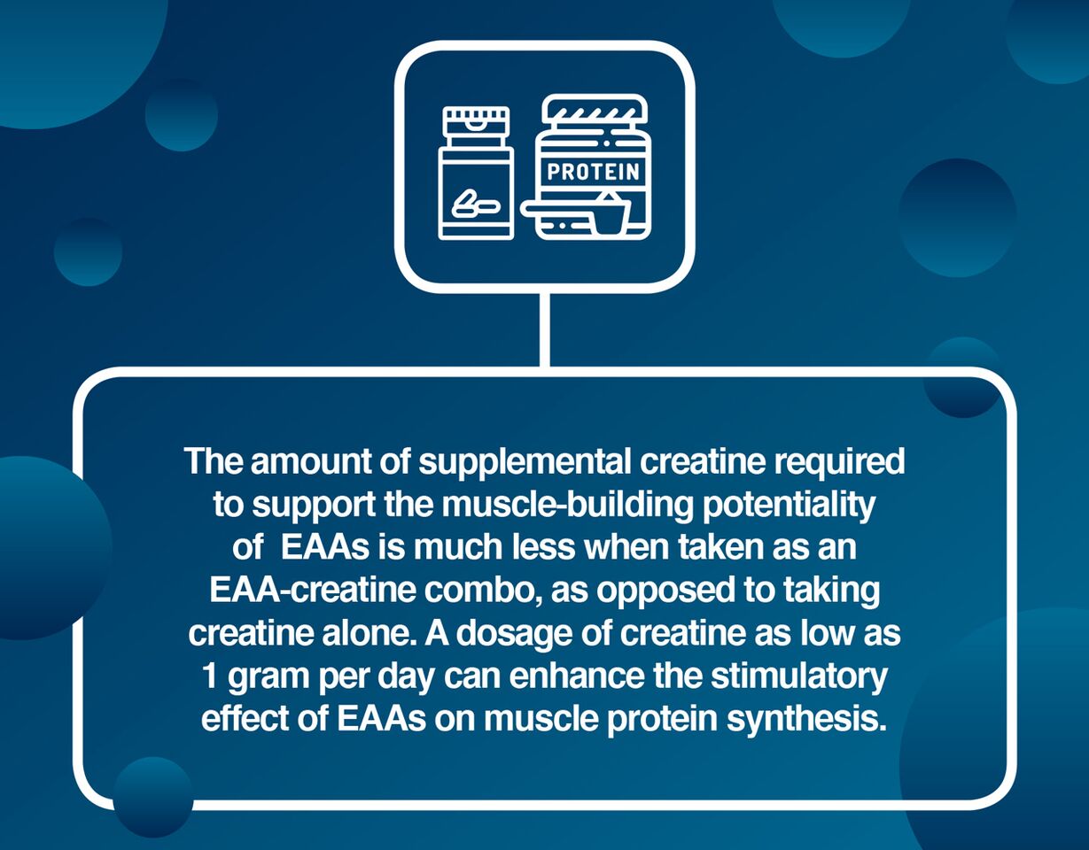 Creatine has beneficial effects on athletic performance