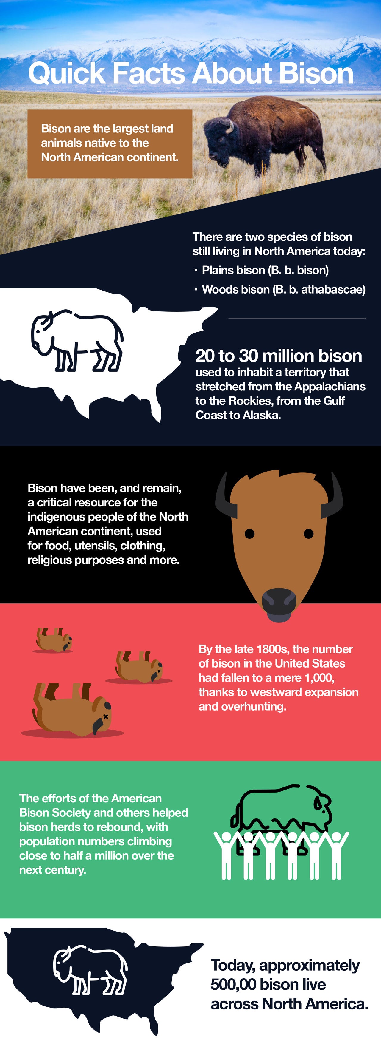 Quick Facts About Bison.