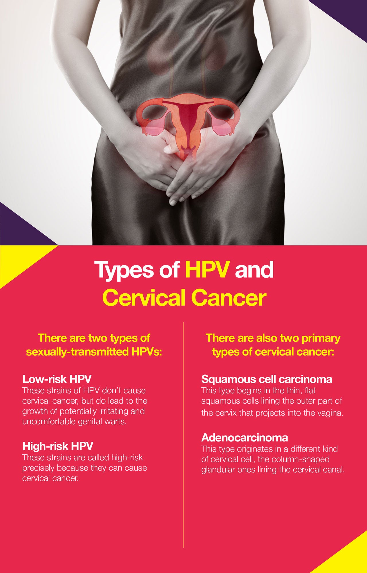 Here are the types of HPV and cervical cancers
