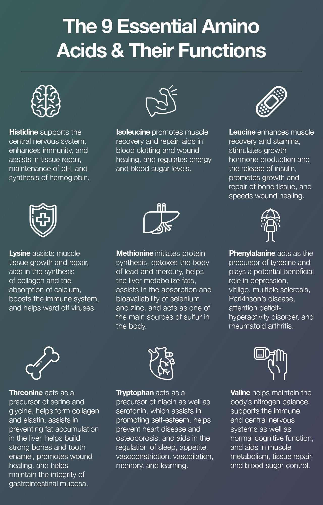 The 9 Essential Amino Acids & Their Functions