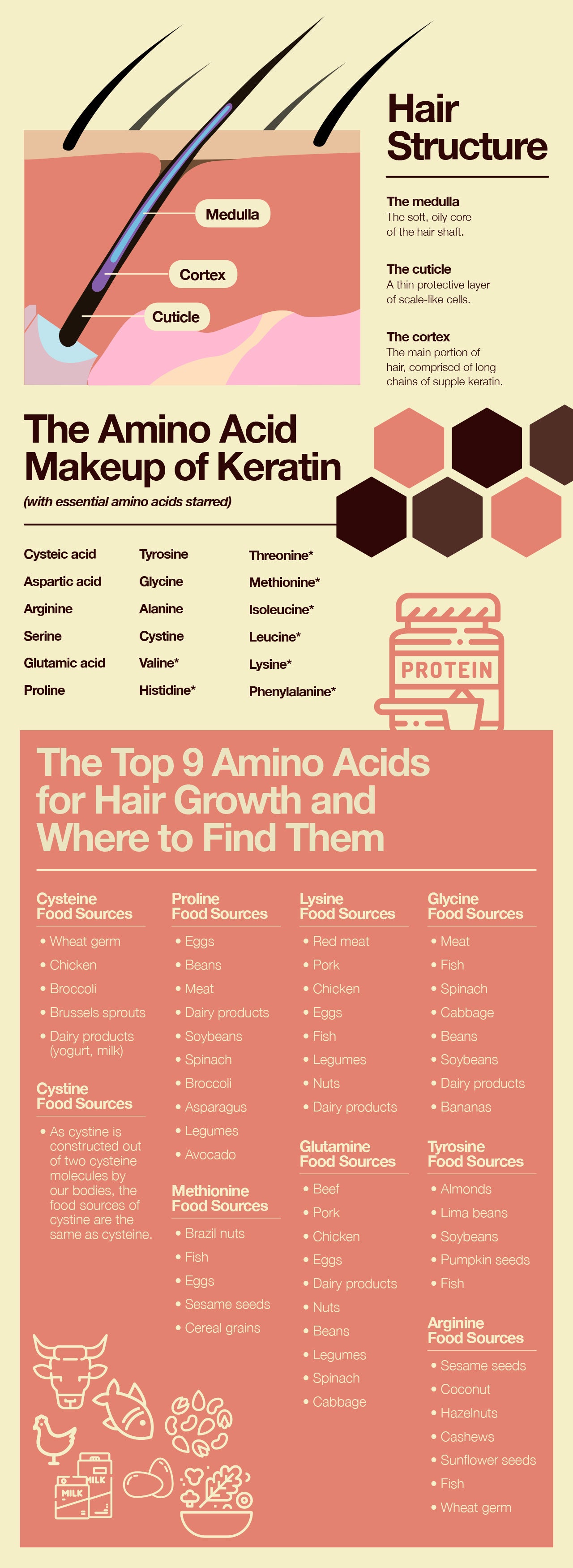 The top amino acids for hair growth.