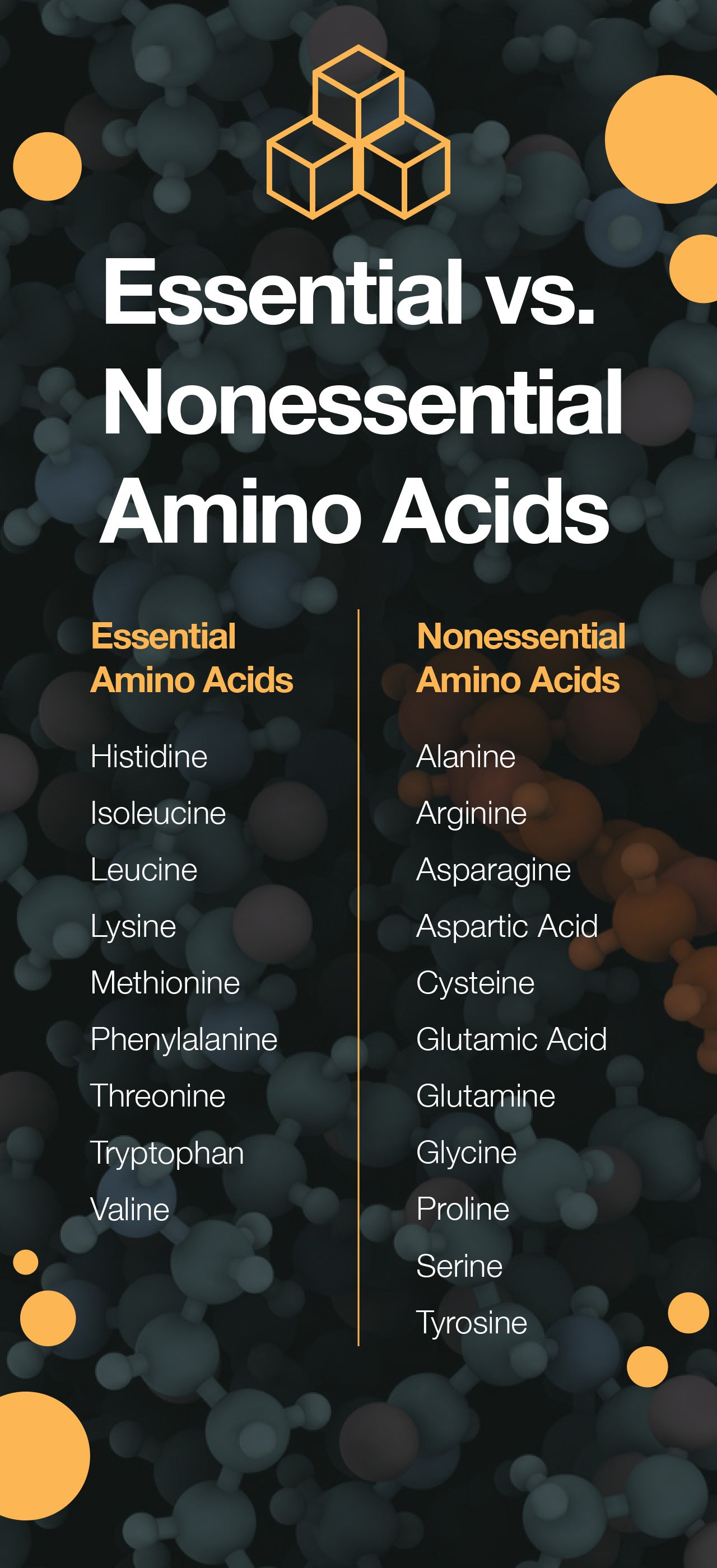 Essential vs. Nonessential Amino Acids