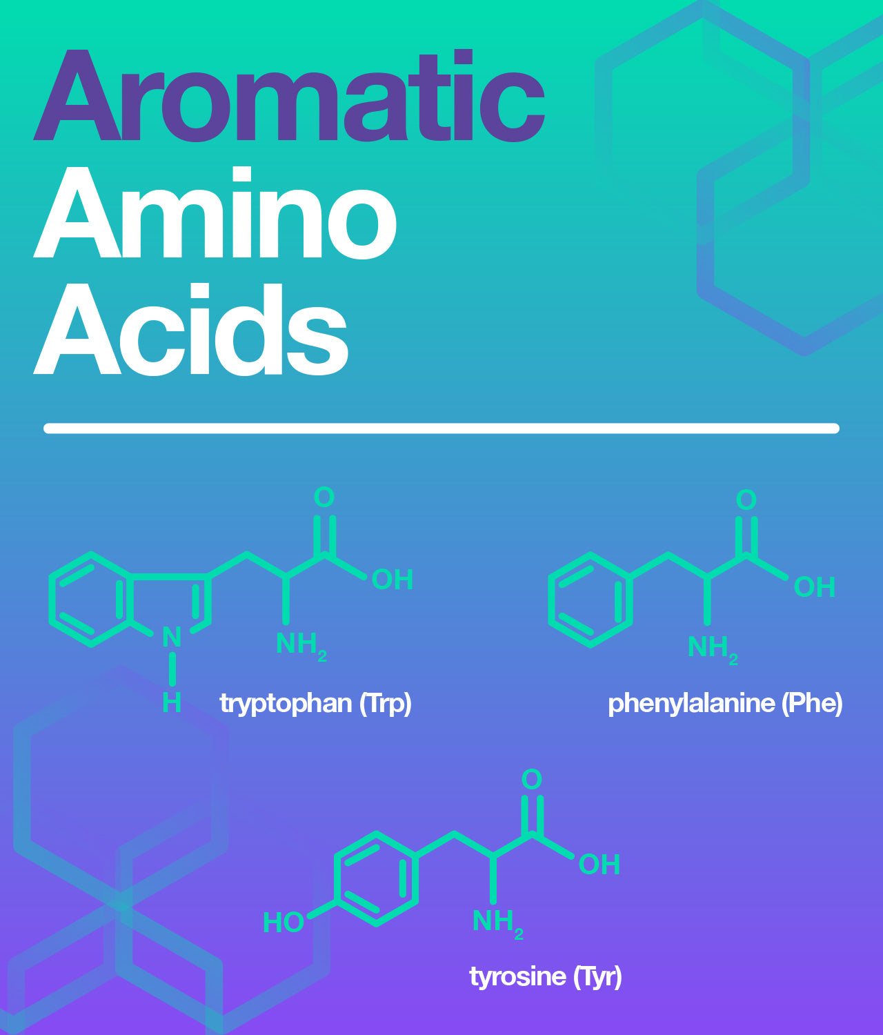 the structure of the aromatic amino acids