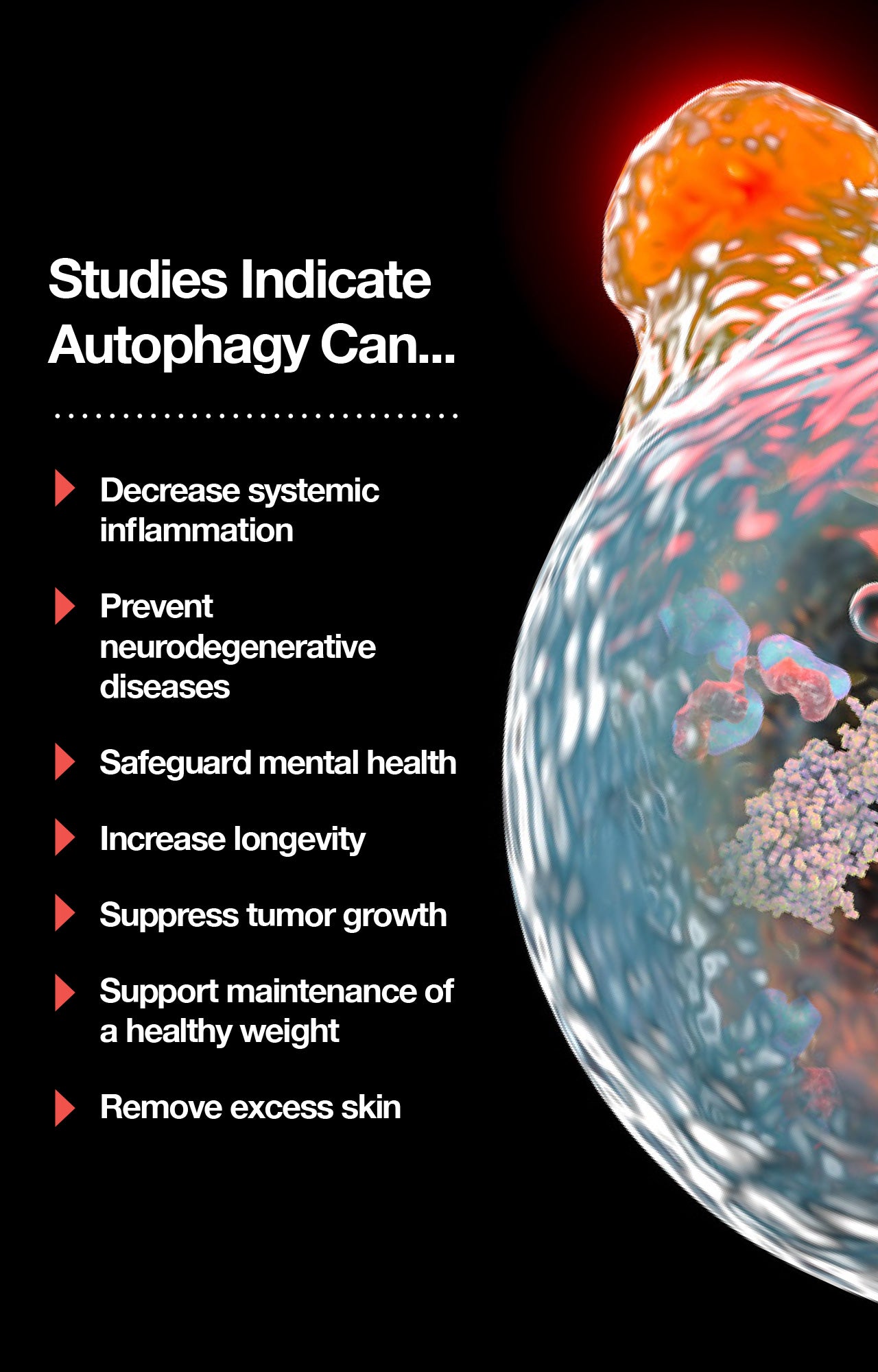 How to Increase the Efficacy of Autophagy for Loose Skin