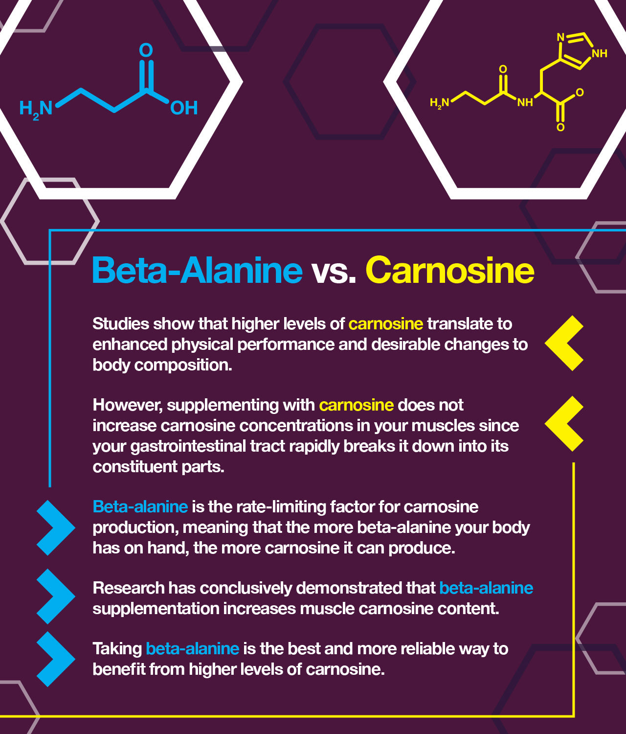 Beta-alanine and carnosine compared