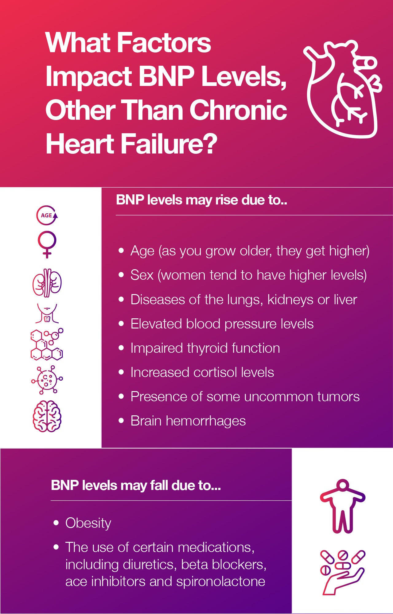 What Factors Impact BNP Levels, Other Than Chronic Heart Failure?