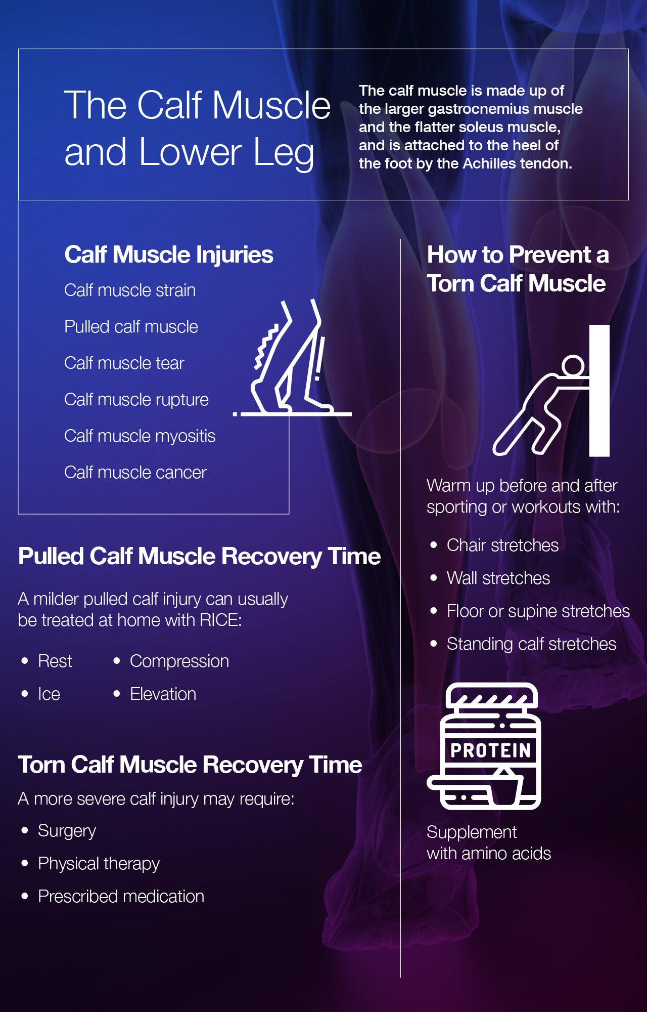 Pulled or torn calf muscle recovery time.