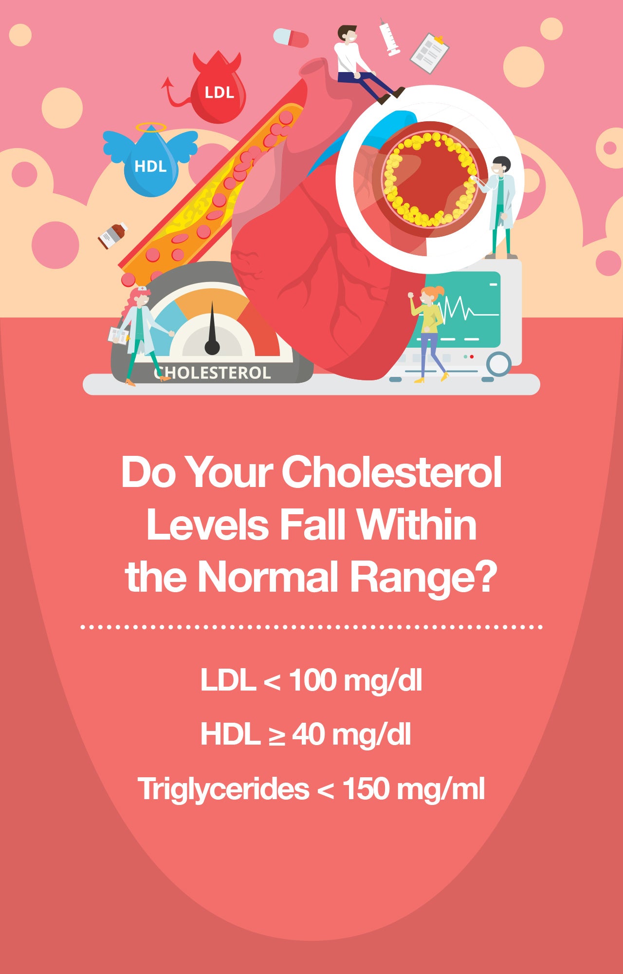 normal cholesterol levels