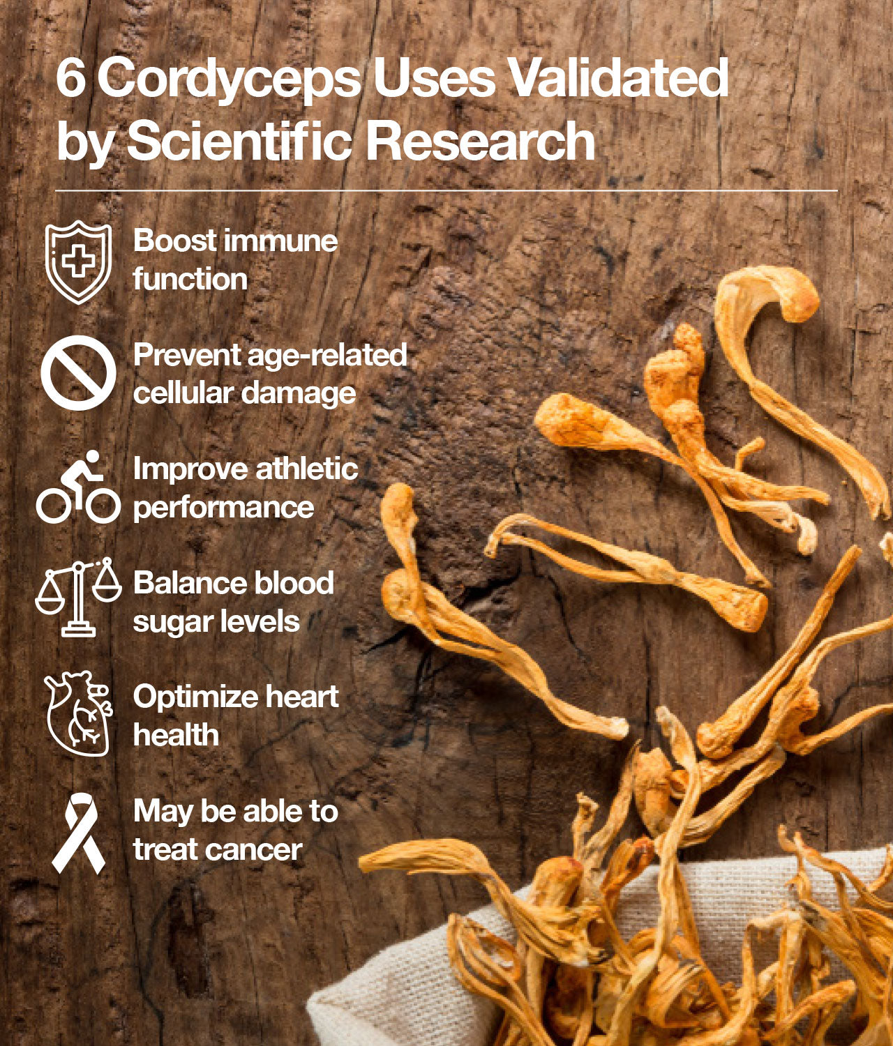 6 Cordyceps Uses Validated by Scientific Research