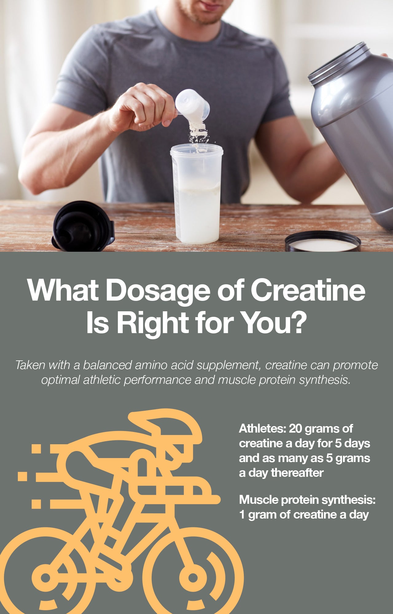 Creatine has beneficial effects on athletic performance