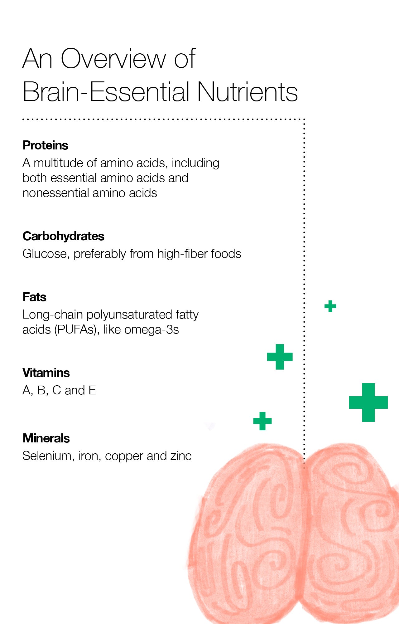 An Overview of Brain-Essential Nutrients