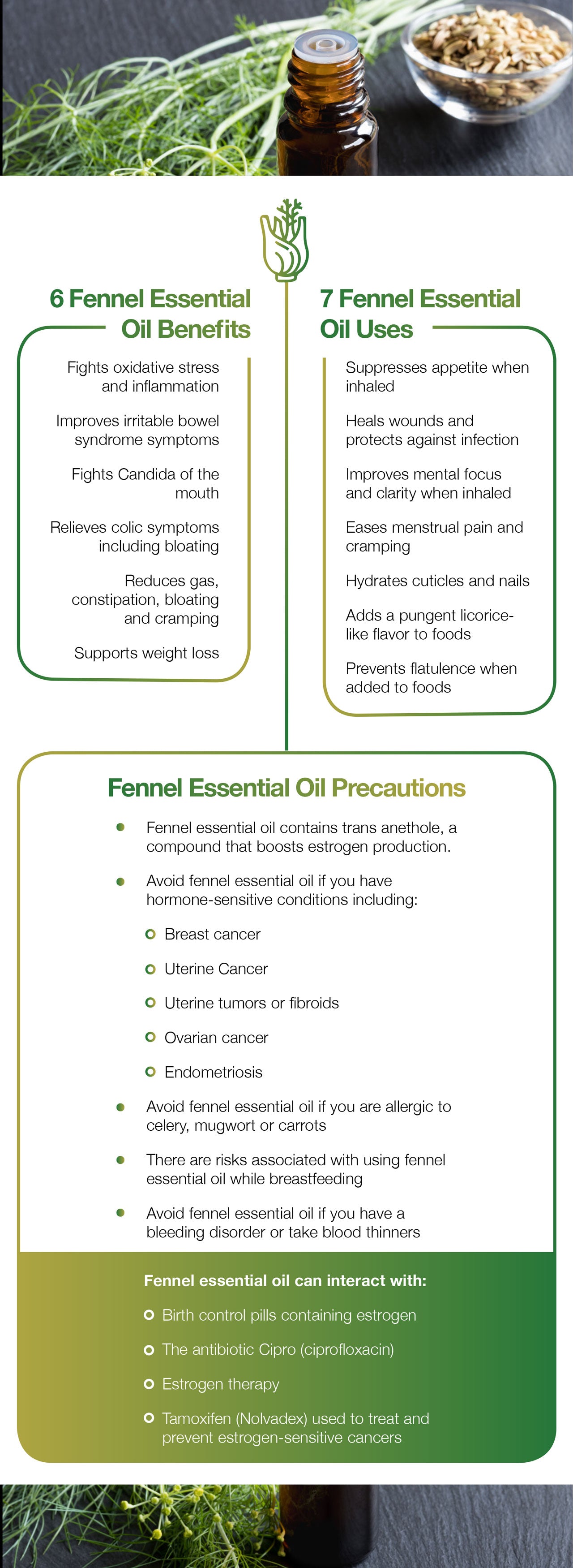 6 Fennel Essential Oil Benefits