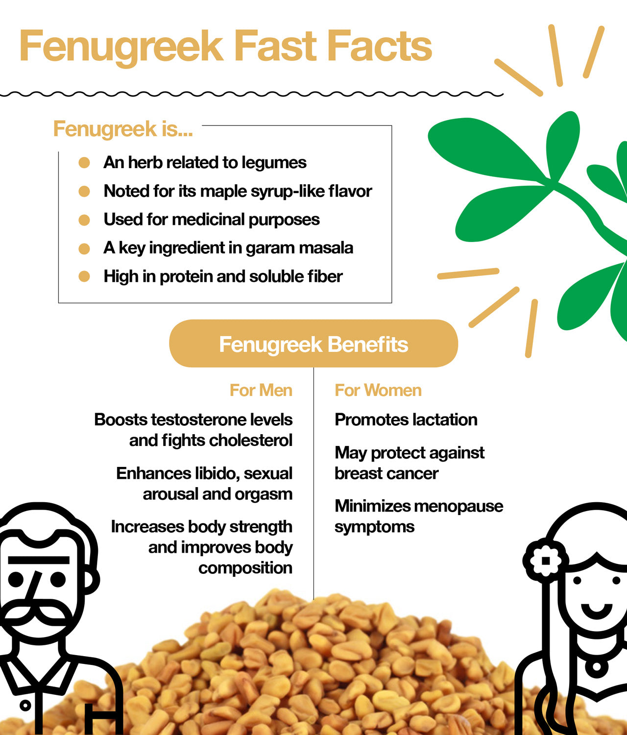 Fenugreek Fast Facts