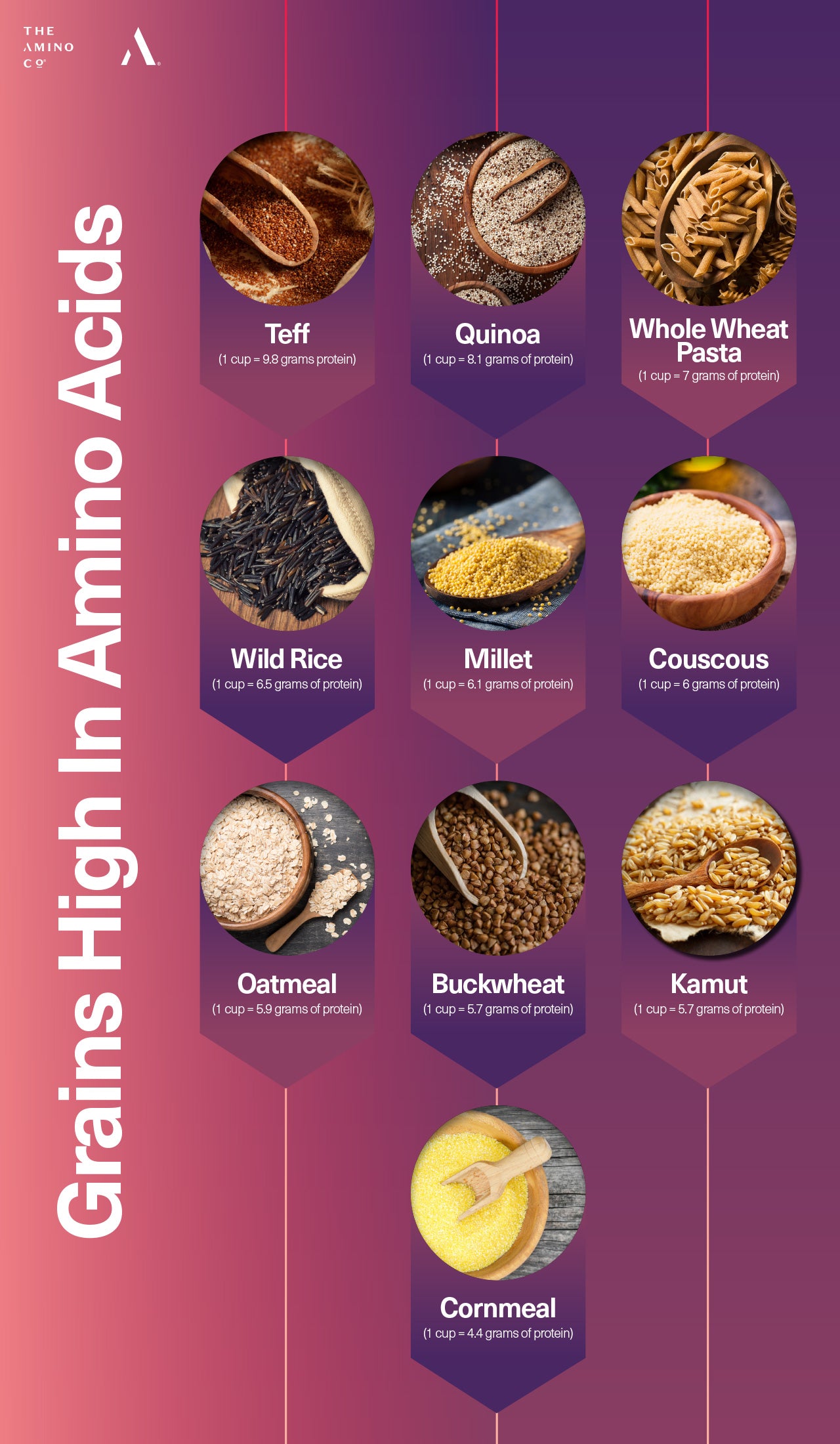 Grains High in Protein