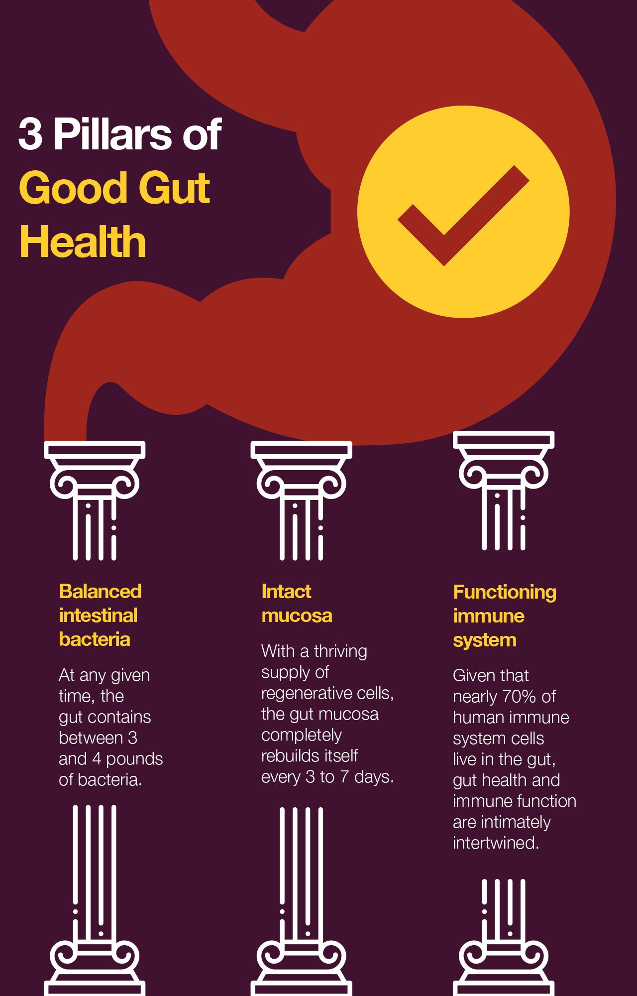 3 pillars of good gut health