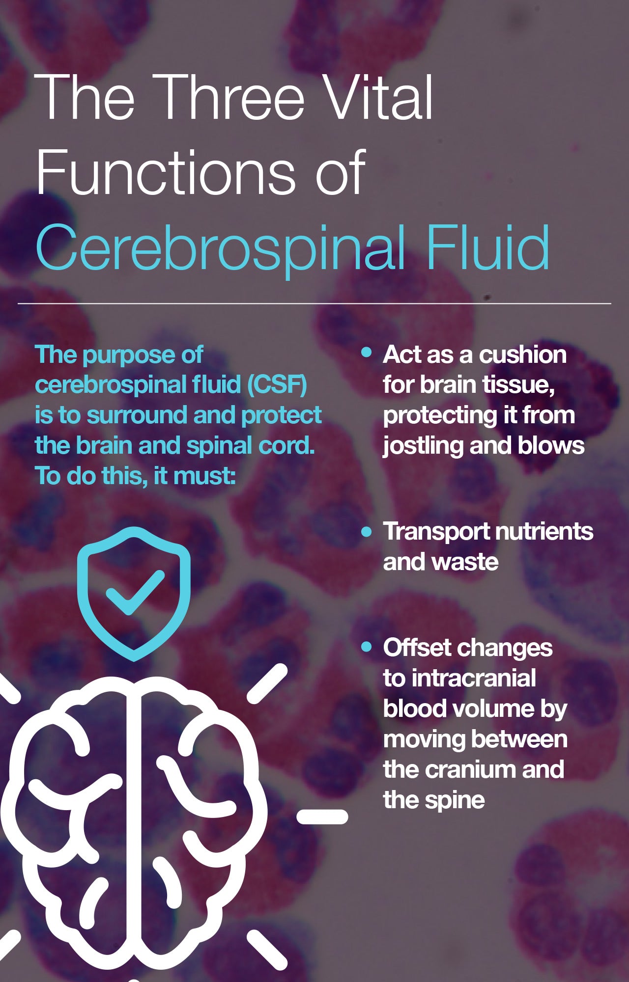 The Three Vital Functions of Cerebrospinal Fluid