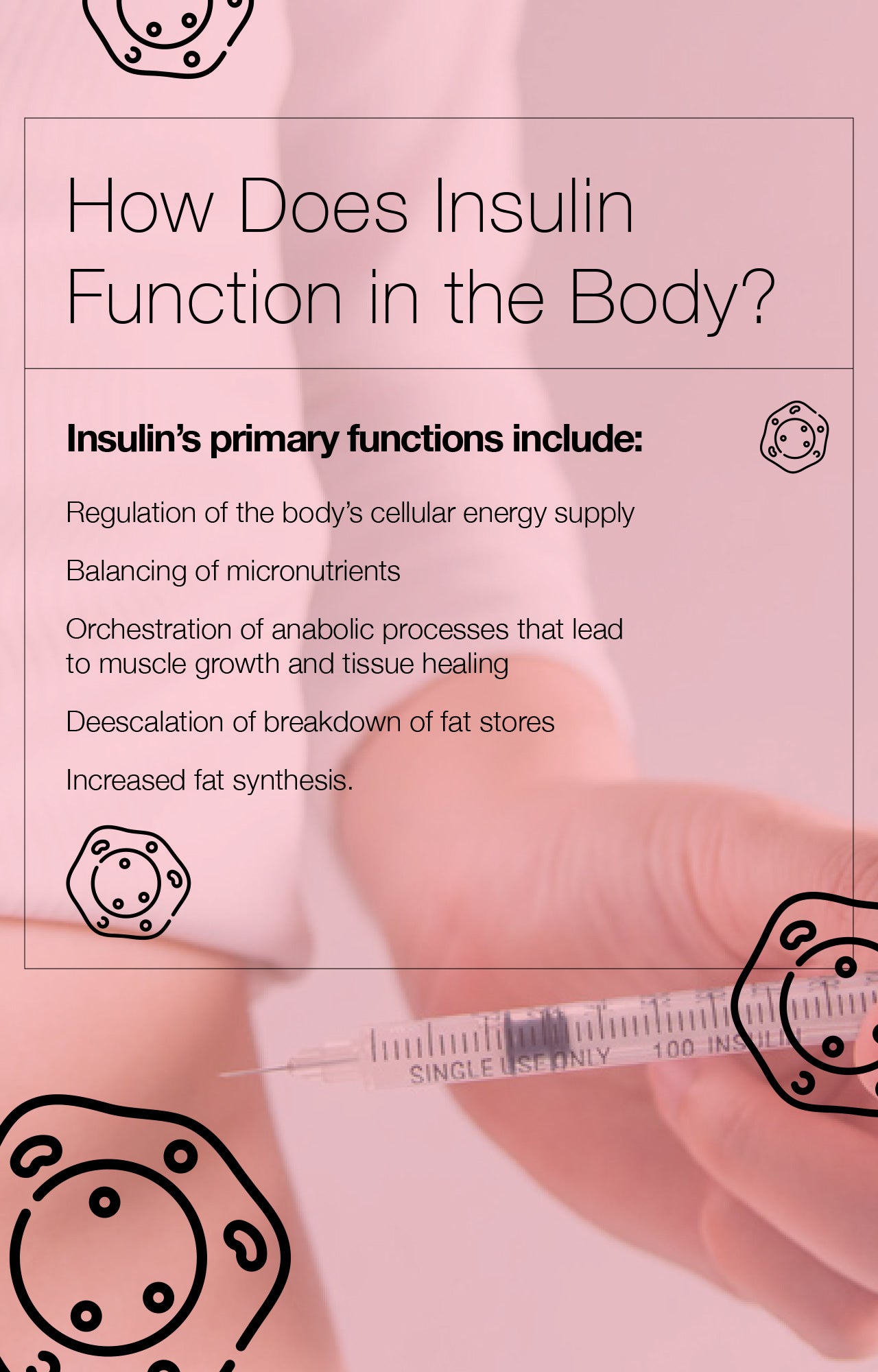How Does Insulin Function in the Body?