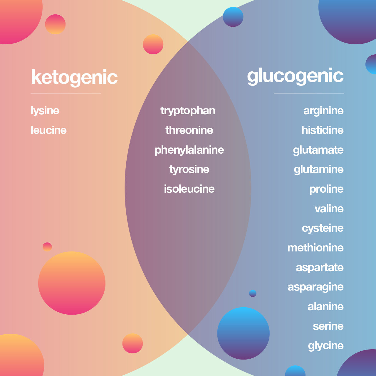 Essential amino acids for the ketogenic diet.