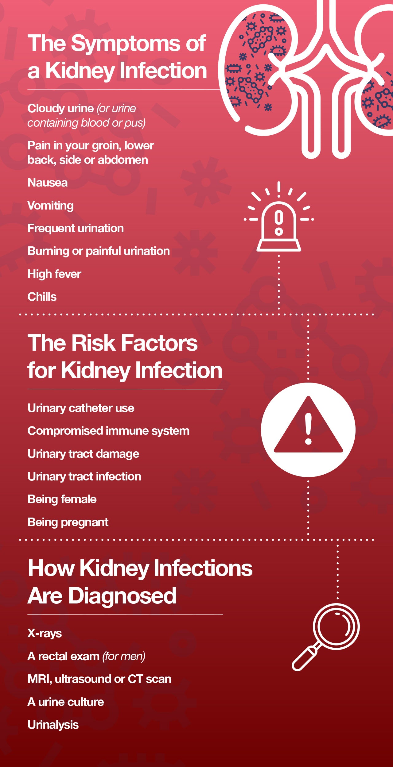 Kidney infections: symptoms and solutions.