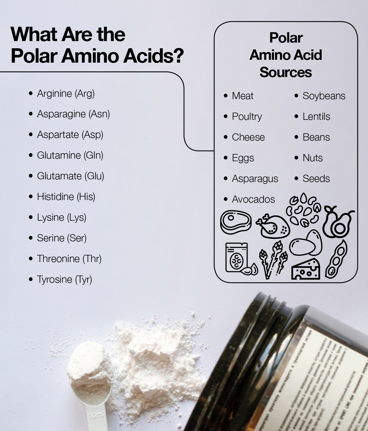 Polar amino acids for optimal health.