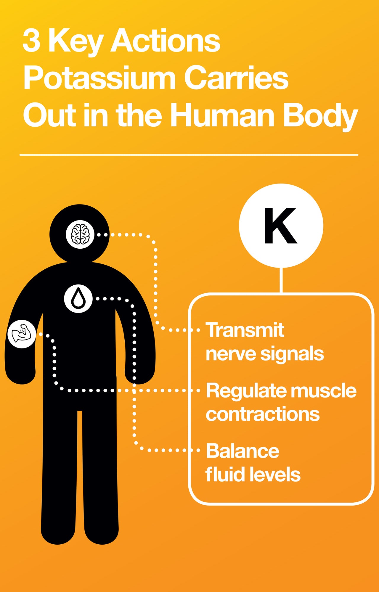Learn what potassium is and why we need it.