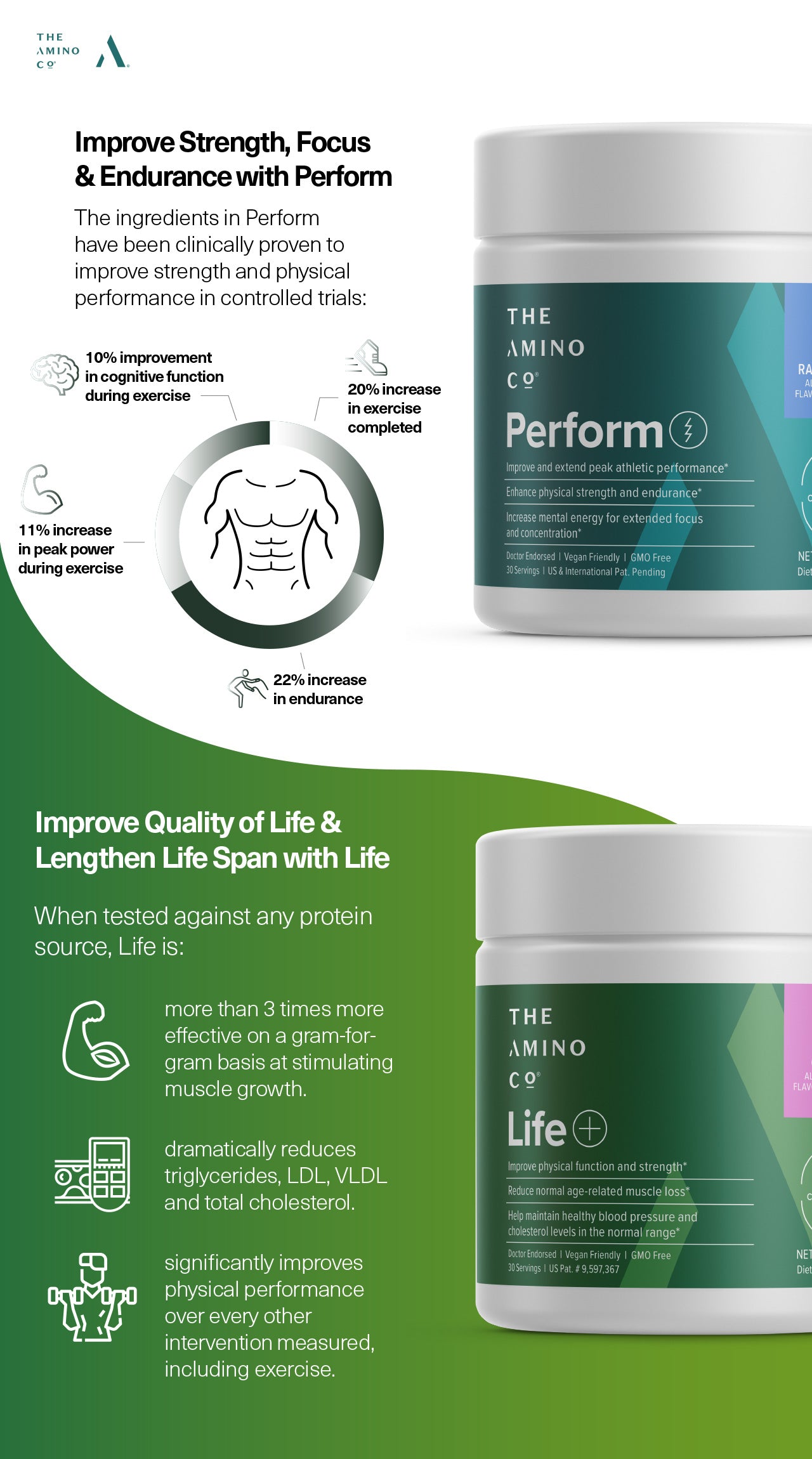 Amino Co supplement benefits