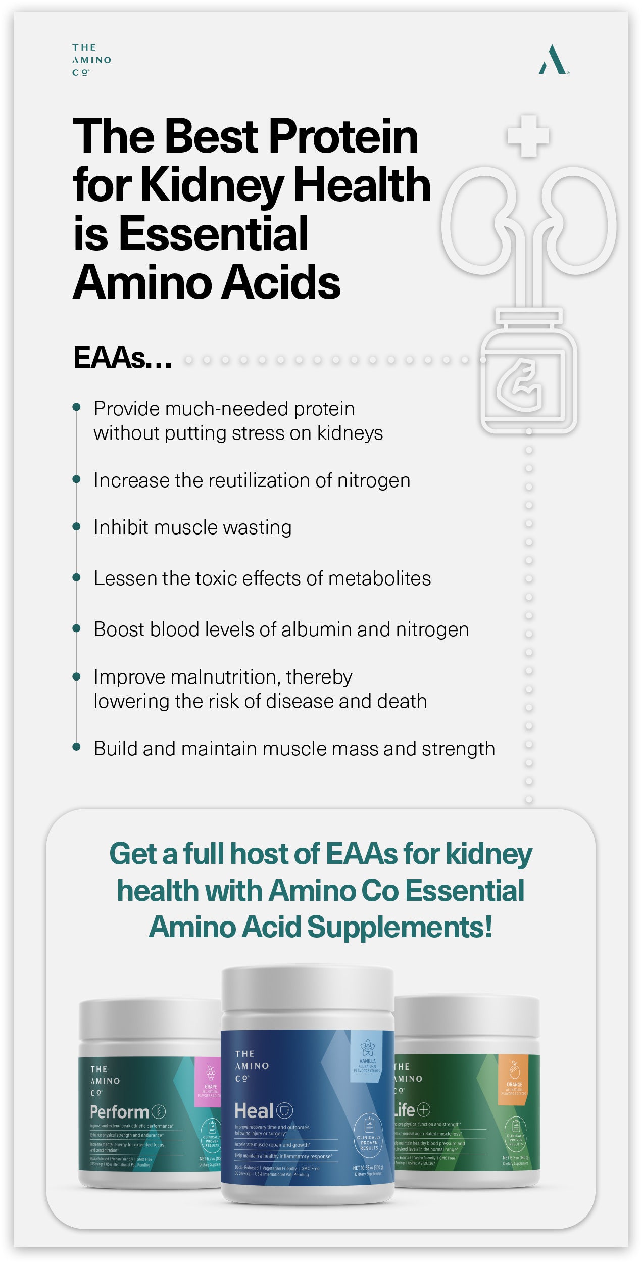 The Best Protein for Kidney Health