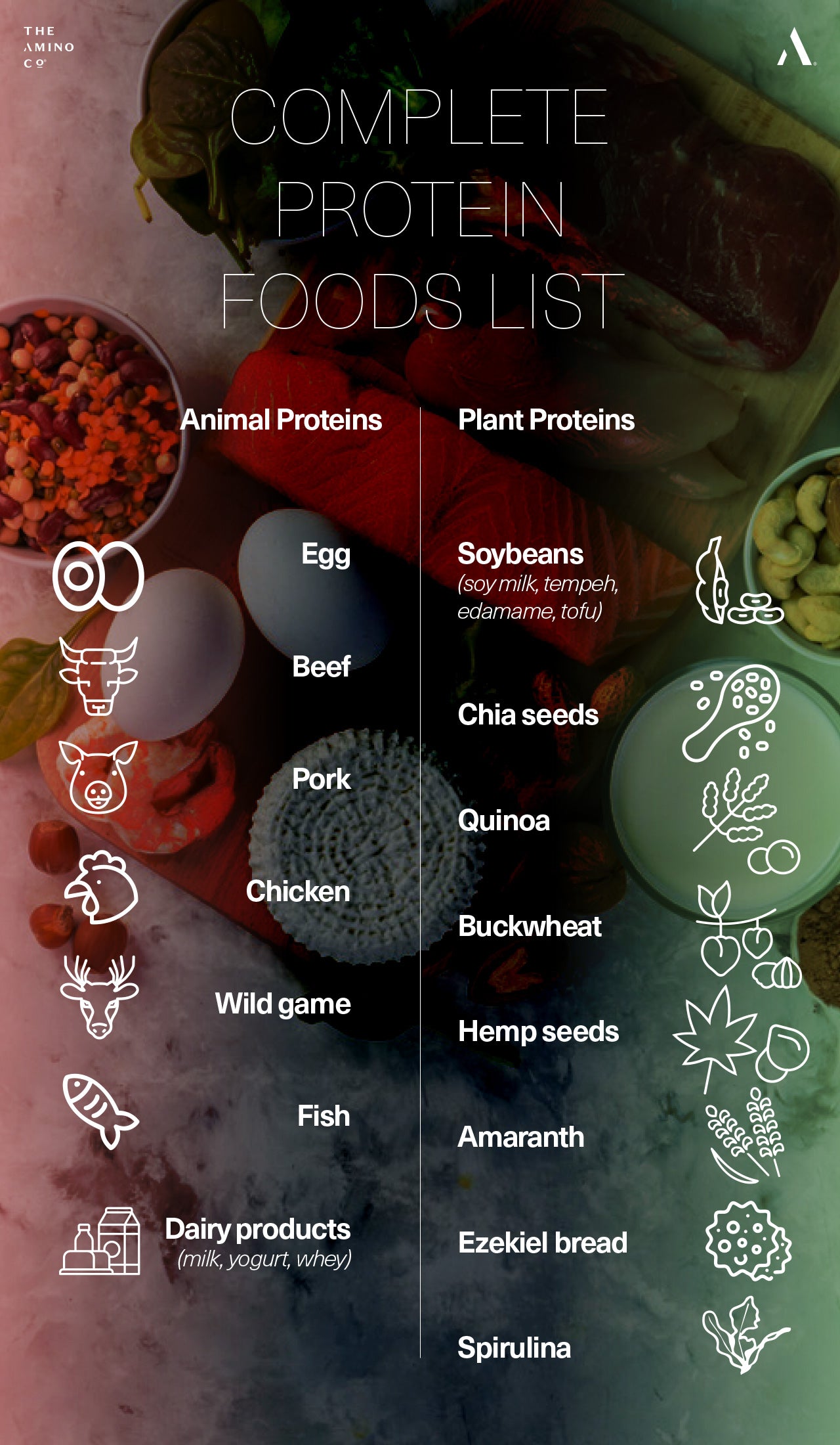 Complete Protein Food List