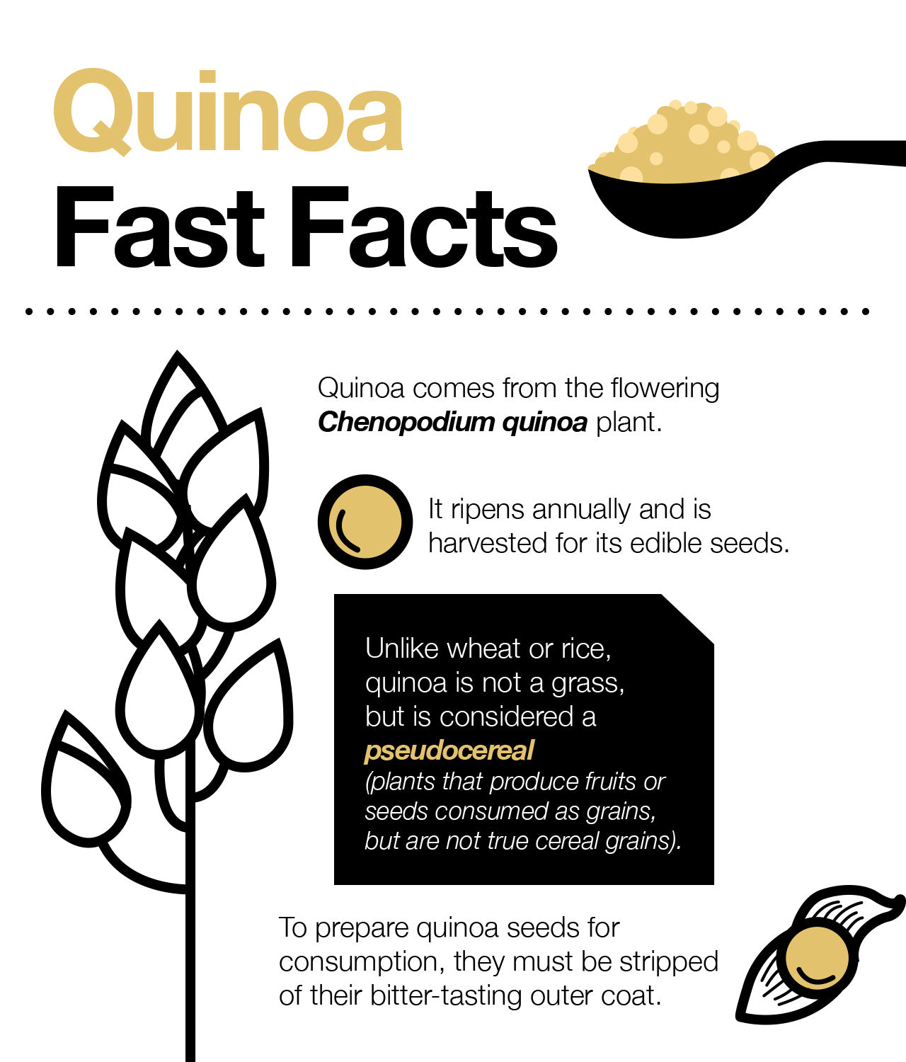 Is quinoa a complete source of protein?