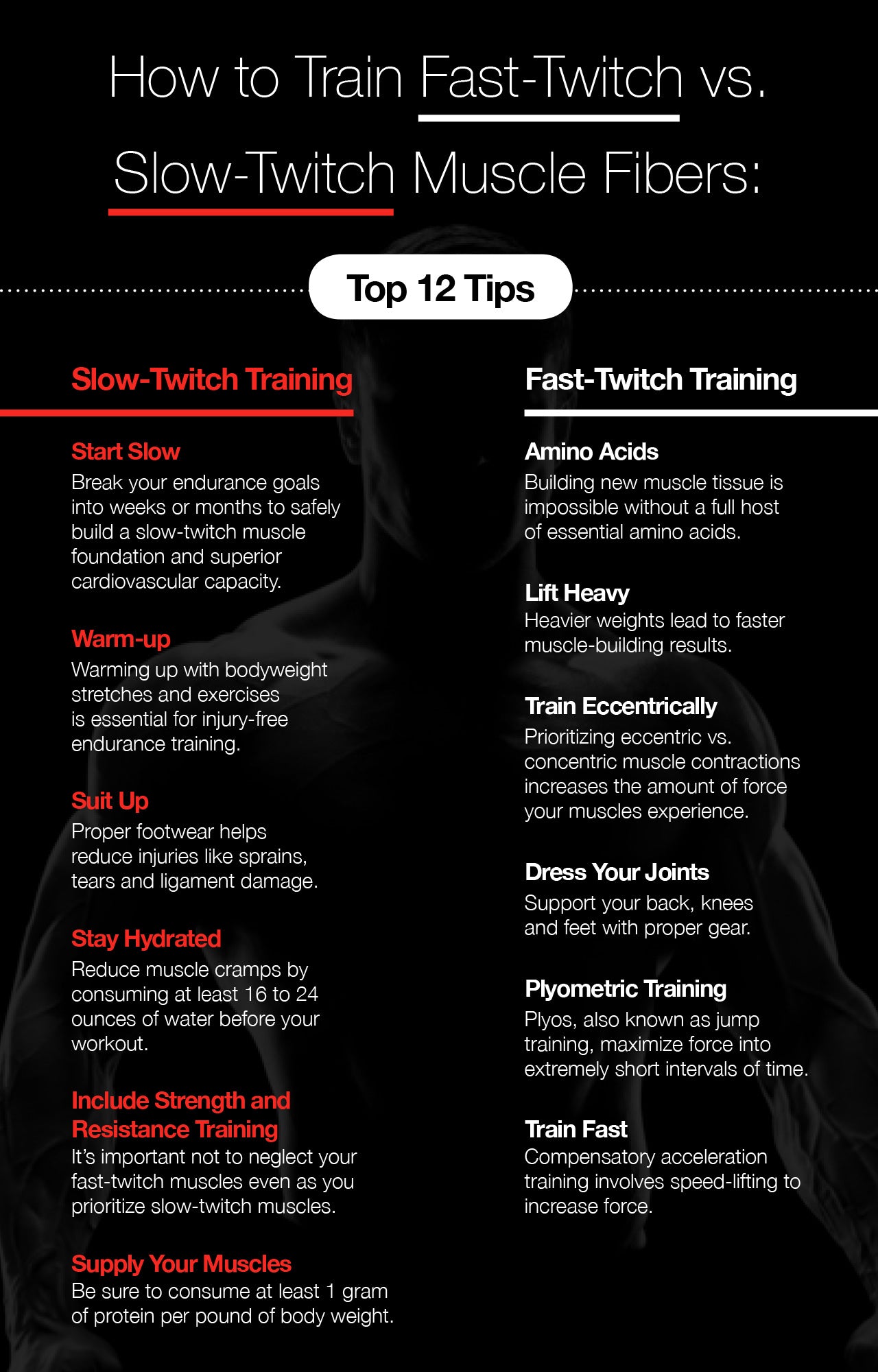 How to Train Fast-Twitch vs. Slow-Twitch Muscle Fibers: Top 12 Tips