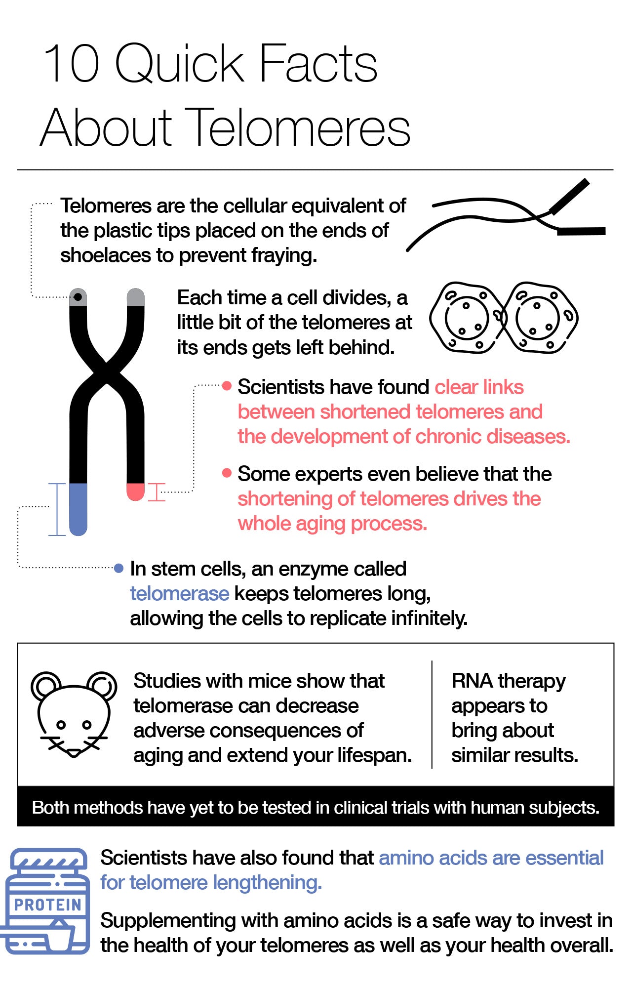 Telomeres and aging: what's the connection?