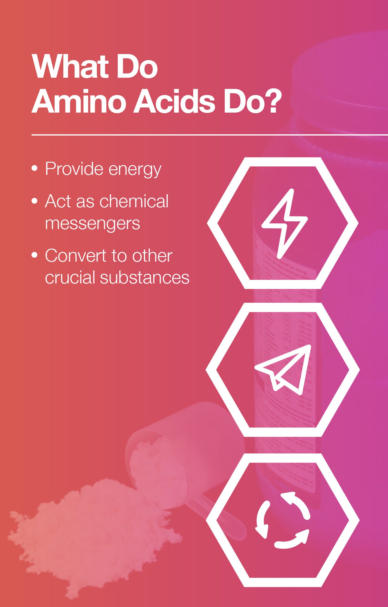 What Do Amino Acids Do?
