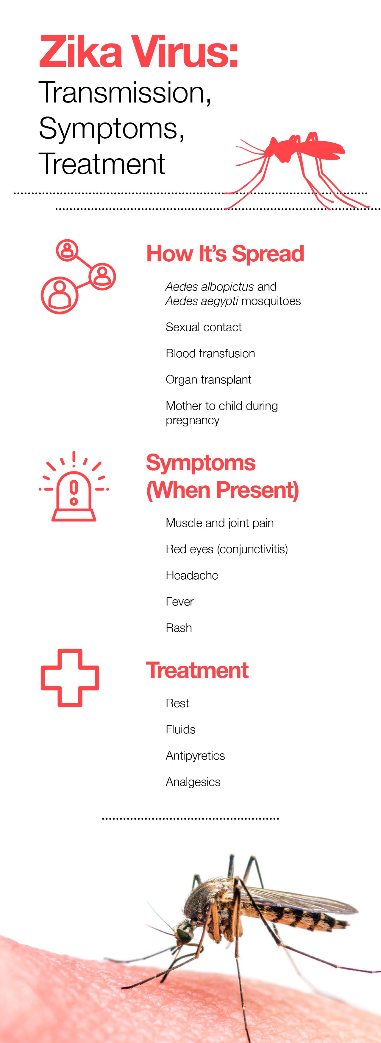 Zika virus transmission, symptoms, treatment