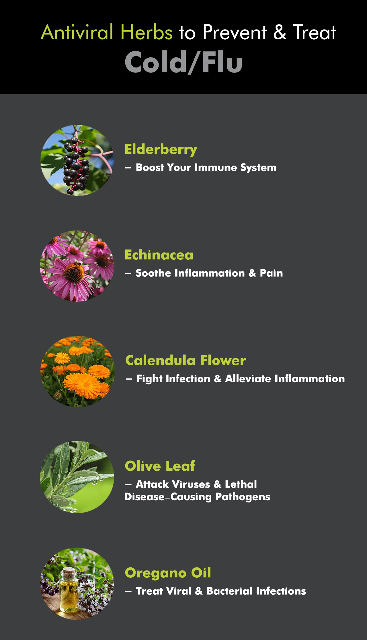 Even with the best of intentions, it’s not easy to avoid contracting the cold or flu. And with so many health aids out there, choosing the best remedies for flu and cold relief can be a hassle. Although conventional methods for flu and cold treatment are more prevalent, consider these natural remedies for cold and flu.